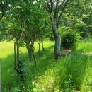 송산공원 화장실 이미지