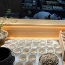 르노삼성자동차 서비스바로코너 포항점 | 포항::5성급 뷔페 ‘퀸즈테이블’ 내돈내산 찐 솔직후기 / 메뉴 소개 .. 조금은 아쉬웠던 ..