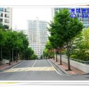 산본롯데아파트 9단지 앞