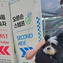 강아지풍경 | 루지월드 강아지 동반탑승 후기, 루지 반려견 동반탑승 가능!