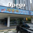 새본리수영장 | 대구 새본리수영장 자유수영 후기 운영시간 및 가격
