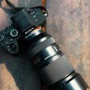 29170-1-A-16 | 망원 렌즈의 즐거움 - 탐론 70-180mm F/2.8 Di III VC VXD G2의 180mm F2.8 활용(소니 A7R4, 여행용 렌즈)