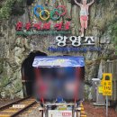 용화1로5번길 | 삼척여행 강력추천 액티비티 오션뷰 부터 터널까지 볼거리 넘치는 레일바이크 탑승 후기!(궁촌,용화)