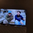 봄나라약국 | 4-5일차 냐짱 -나트랑대성당,시내구경 (kissa,슈렉기프트), 에그커피, DS약국, 레전드커피