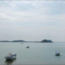 서산갯마을낙지 이미지