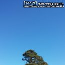 대림슈퍼 이미지