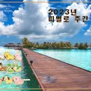 신비로-11 이미지