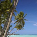 샹그릴라 이미지