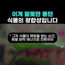 식물의 丁壬癸？ 이미지