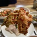 금뚜꺼비 이미지