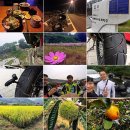 공주(당진) 이미지