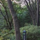 남산가는길(야경)코스 이미지