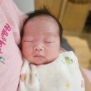 주식회사 루시아산후조리원 | 수원 산후조리원 추천, 루시아 산후조리원 입소 첫날 룸 컨디션 솔직 후기 ①