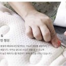 제이디엑스천안 이미지