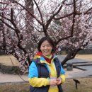 (주)봄디자인 이미지