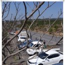 솔오름전망대 이미지