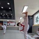 예준태권도