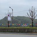 전막~강북교차로 이미지