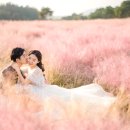 13월의 제주 이미지