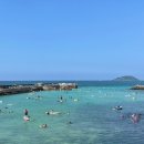 월령리(월령포구) | 제주 여행 I 서쪽 물놀이 명소 추천 월령포구 스노클링 후기 / 물때정보 화장실 샤워 주차 판포포구 비교