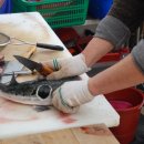 일품 복어 이미지