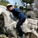 초원의 집 이미지