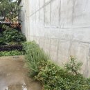 안도스테이 | 서쪽 감성숙소] 에어비앤비 협재 프라이빗 독채 자쿠지 아기랑 커플 추천 내돈내산 솔직 후기 - 안도스테이