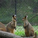 하마하우스 이미지