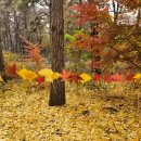 예소담유치원 이미지