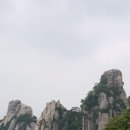 원조의정부부대찌게 이미지