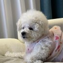 정 담은 집 이미지