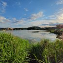 고막낚시터 이미지