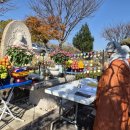 을사년 약사여래부처님전 공양예불(25.11.22) 이미지