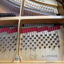 우리재천 | 야마하 C5 렌탈 살롱인양재천 야외무대 1일 단기대여 해드렸습니다.