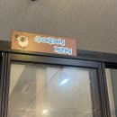 가방위에 고양이 | 평택 고양이카페 추천｜삼층고양이카페 솔직후기🐱 넓고 쾌적한 힐링공간, 고양이 천국이었어요