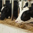 (주)우성사료 경산공장 이미지