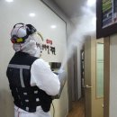 24시특수방역 네이버블로그