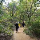 청량산에서 맨발걷기 하고 왔어요.🍁🤼‍♂️🦵👣🤼‍♂️🍂 이미지