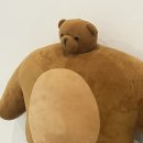 손길닿음