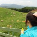 한마음목장 이미지