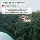 밀양가볼만한곳 용두산생태공원/달팽이전망대/잔도길/천경사 10월 여행