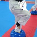 숨비소리 태권도장 이미지