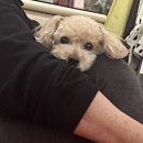 혿시... 23년은 일이 많은 해인가... 요?