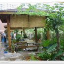 장기초교 이미지