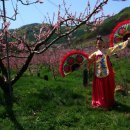 사곡2리 이미지