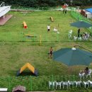 애견운동공원(하절기) 이미지