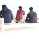 디자인소나무 이미지