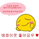 에셀미용실 이미지