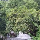 금자네펜션 이미지