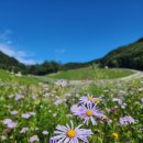 선 목장 이미지